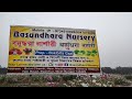 Basundhara Nursery ||Madhyampur, Basirhat#sabujerswapno #nurseryvisit