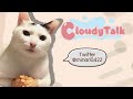 cloudytalk คุยกับคุณนักเขียน นามปากกาว่า m i n a r i