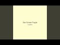 Star Sunset Fragile