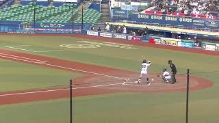 【合同トライアウト】ホークス 瀧本将生〜ジャイアンツ菊田拡和を三振 2024年プロ野球12球団合同トライアウト11月14日