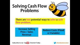 Bee Business Bee Business Cash Flow Presentation