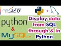 Python & MySQL - Display data from SQL to Python