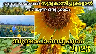 SUNDARAPANDIYAPURM  SUNFLOWER FIELD 2023 | സൂര്യകാന്തി പൂക്കളുടെ അത്ഭുത ലോകം | #sundarapandiyapuram