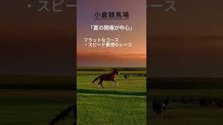 【競馬豆知識】小倉競馬場の特徴を解説！ #競馬 #小倉競馬場