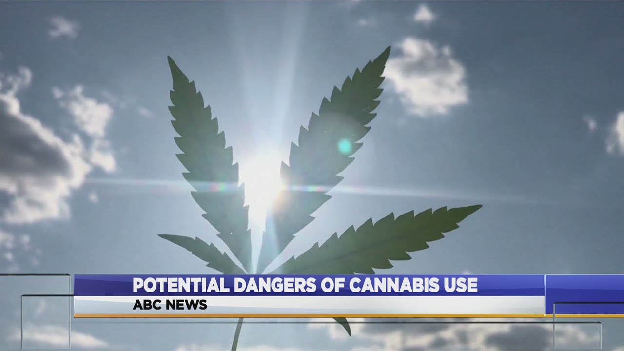 Potential Dangers Of Cannabis Use - YouTube