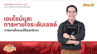 ติวออนไลน์ชีวะ ม.4 เรื่อง เอนไซม์และการหายใจระดับเซลล์ by (ดร.ศุภณัฐ) อ.อุ้ย Dek-D School