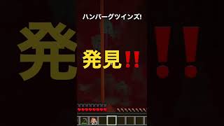 ついにネザー要塞発見‼️ #小5 #ハンバーグツインズ #マイクラ #マインクラフト #minecraft #minecraftshorts #shorts #short #ネザー要塞 #ネザー