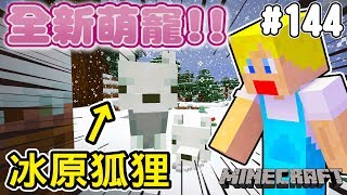 【Minecraft】蘇皮生存系列 #144 帶冰原狐狸寶寶回家！等等...怎麼突然變大了！？ 【當個創世神】