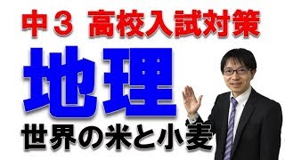 高校入試のここが出る！地理・世界の米と小麦　　社会科専門塾ガチシャカ！