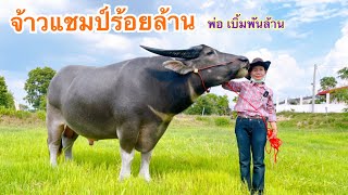 #จ้าวแชมป์ร้อยล้าน  ลูกชายเบิ้มพันล้าน  #ธศธรฟาร์ม  โทร 0935583751