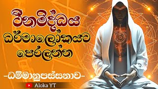 ථීනමිද්ධ නීවරණය | five hindrances | ධම්මානුපස්සනාව |  පංච නීවරණ |  @alokaalighttolife