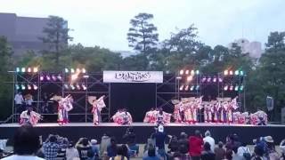 十人十彩　YOSAKOI高松祭り2016ゲストチーム演舞