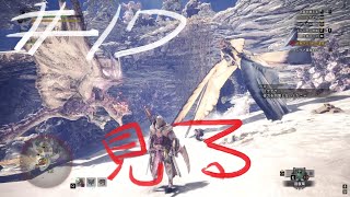 【MHW】桜火竜VS風漂竜　VSおれ#17