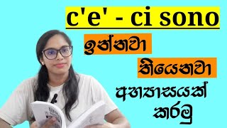 there is there are | ඉන්නවා තියෙනවා ඉතාලි භාශාවෙන් අභ්‍යාසයක් #italianlanguage#italian #learnenglish