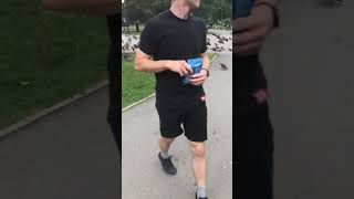 Pigeons Chase Down Man for Food