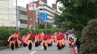 チーム覇王　2016犬山踊芸祭6/5（日）　パレード会場 2回目