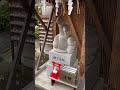 蛇窪神社に行ってきました