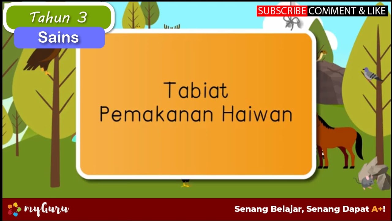 Rph Sains Tahun 3 Haiwan Berubah Tabiat Pemakanan - Nerveploaty