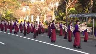 崇城大学～華咲流舞～さん　2014　YOSAKOIさせぼ祭り