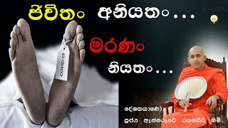 ජීවිතං අනියතං මරණං නියතං... | ජීවිතය අනියතයි මරණය නියතයි