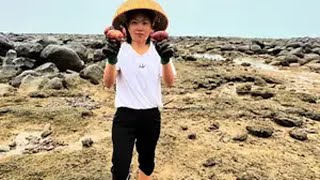 赶海 户外赶海抓海鲜 乡村赶海生活非常安逸，真实赶海抓面包蟹特别解压，今天实现螃蟹自由了我的乡村生活