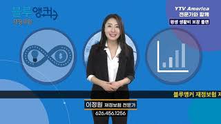 [보험] 평생 생활비 보장 플랜 | 블루앵커 이정원 에이전트 YTV News on 연합뉴스TV