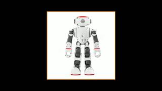 Wltoys F8 Dobi Intelligent Humanoid Voice Control Multifunction RC Robot