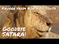 Kruger in Spring North to South | Goodbye  SATARA | Ep8 | Sept 2023 | Casper the  white Lion