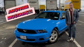 I Bought Another Mustang… 😅