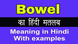 Bowel Meaning in Hindi/Bowel का अर्थ या मतलब क्या होता है