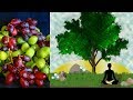 Living A Healthy Life - living a healthy lifestyle benefits