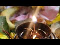 Sharad Purnima: Satyanarayan Vrat Katha