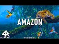 Amazon 4K - Scenic Relaxation Film With Inspiring Music