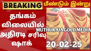 18-02-25|மீண்டும் நண்பகல் சரசரவென சவரன் தங்கம் விலை கடும்சரிவு|today goldratetamil|goldprice|Chennai