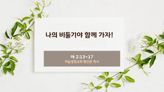 나의 비둘기야 함께 가자! - 황선문 목사 (2024년 11월 24일)