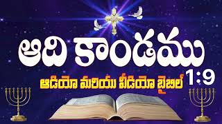 Genesis - ఆదికాండము 9 - బైబిల్ అధ్యయనం - Telugu Study Bible - Adhyayana Bible