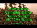 How to setup Cannabis Lighting like a Pro