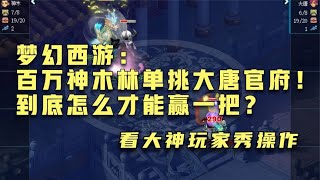 梦幻西游：百万神木林单挑大唐官府！到底怎么才能赢一把？