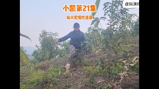 民警到处搜捕纵火犯，不放过任何可疑之处，恶妇慌忙逃窜上山#越南