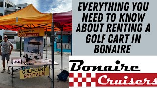 Bonaire Cruisers | Renting a Golf Cart Review