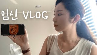 [임신 VLOG] ~15주 | 1차 기형아 검사와 입체초음파, 계속되는 입덧.. 송주불냉면 먹기