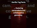 Gorilla Tag Fact Two #gaming #vr