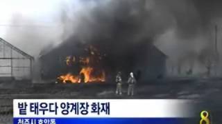 [청주MBC뉴스]밭 태우다 양계장에 불