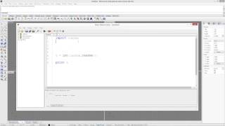 RhinoPython RandomBoolean