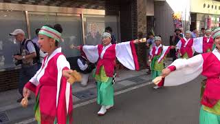 八琴栾 2017来んさい!見んさい!踊りん祭!! ﾊﾟﾚｰﾄﾞ mususukunjp