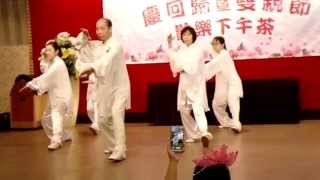 游振芳太極學會沙式太極拳 2015