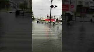 佐賀県 大洪水 雨 浸水 自然災害 事故