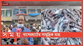 বাগেরহাটে আসতে শুরু করেছে বিভিন্ন প্রজাতির সামুদ্রিক মাছ | Fishes of BD | Somoy TV