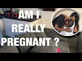 WHAT WE HAVE BEEN UP TO ~ AM I REALLY PREGNANT?|| MOVING|| TRAVELING ETC