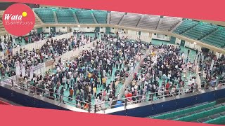 アイドル1000人、８・13武道館でファンと交流 - 芸能